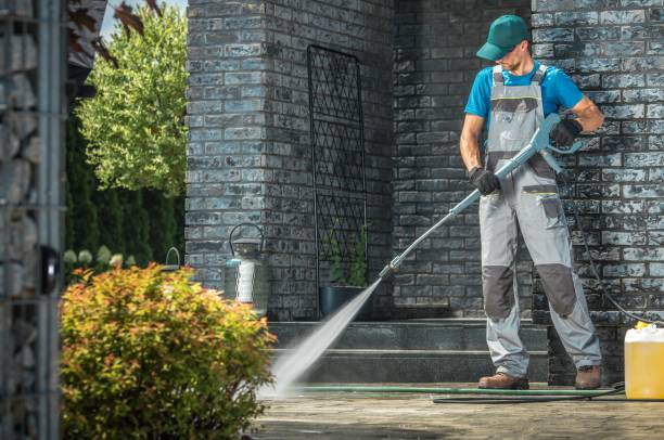 Best Solar Panel Cleaning  in Junction City, CA
